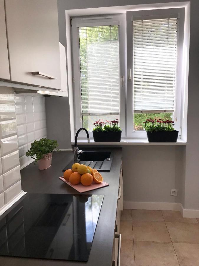 Klimatyczny Apartament Pod Ratuszem -Ul. Slaska 2 Częstochowa Esterno foto